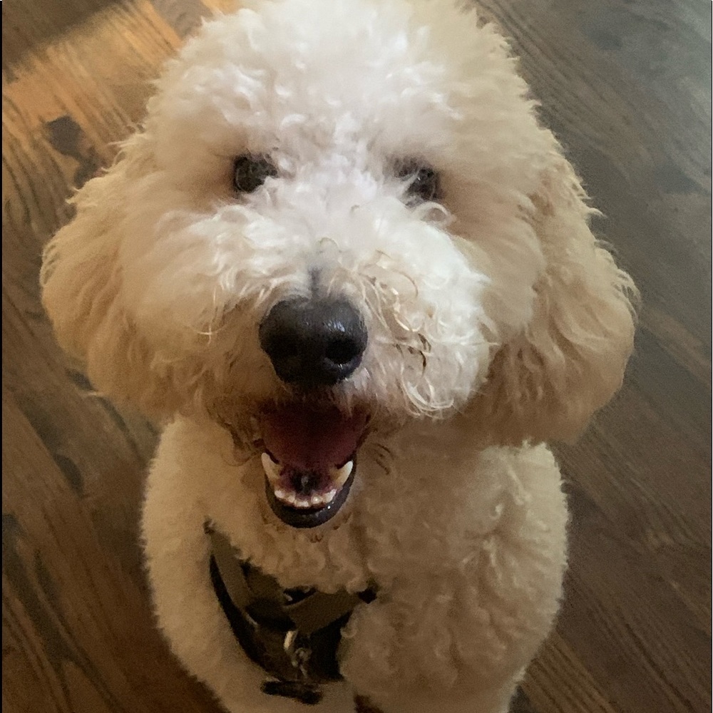 Meet your Posher, Karen